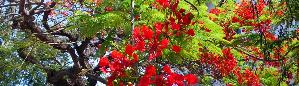 Ramón Soto Ediciones